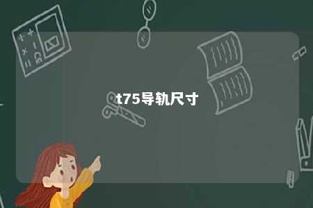 t75导轨尺寸 