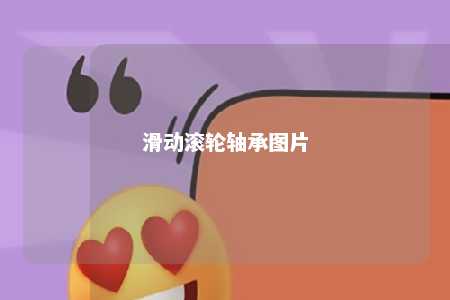 滑动滚轮轴承图片 